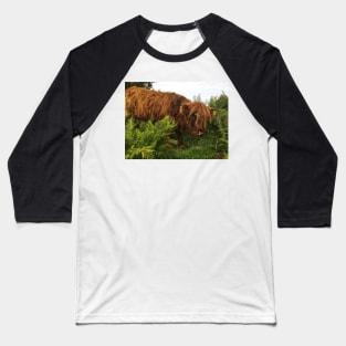 Scottish Highland Cattle Calf 2072 Baseball T-Shirt